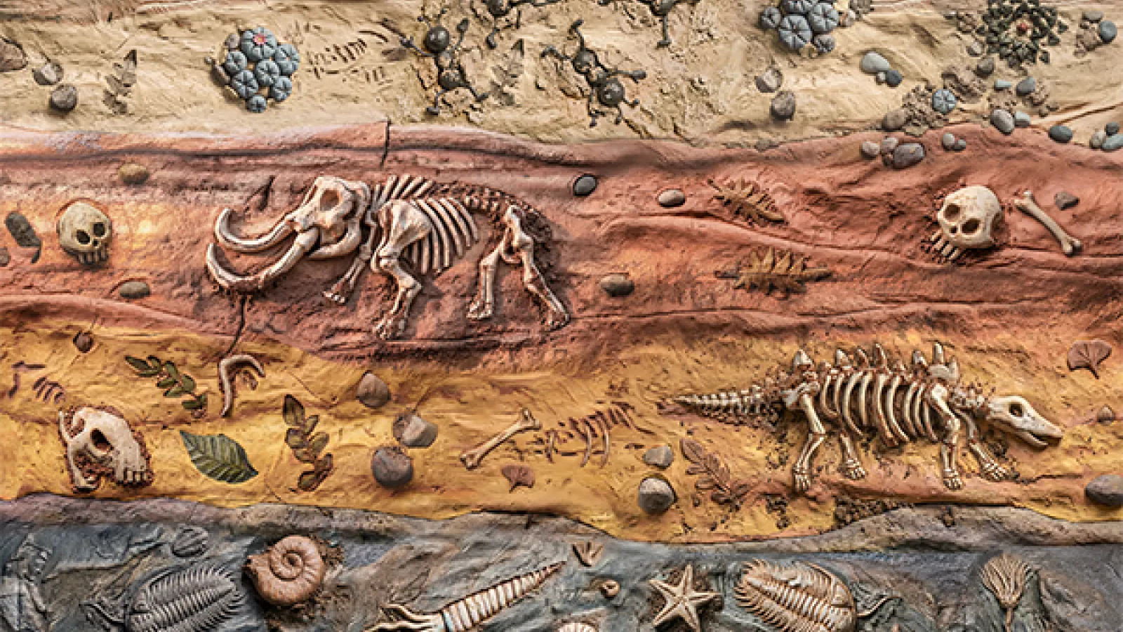 Matte painting of stratified geological layers showing varied textures of mud, clay, and fossilized remains from the Paleozoic to Cenozoic eras.